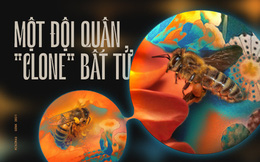 Báo cáo: Doanh số bán hàng Galaxy S21 thấp hơn nhiều so với Galaxy S20 và S10