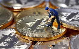 Say khướt đến bất tỉnh, tài xế được hệ thống tự lái của Tesla cứu mạng