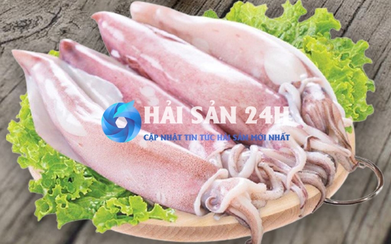 Mực ống - Bí quyết chọn mua và các món ăn từ mực ống siêu ngon 2 Ăn mực ống có tốt không? Giá trị dinh dưỡng như thế nào?