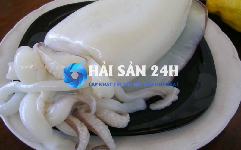 Bí kíp chọn mực mai tươi ngon, dày mình