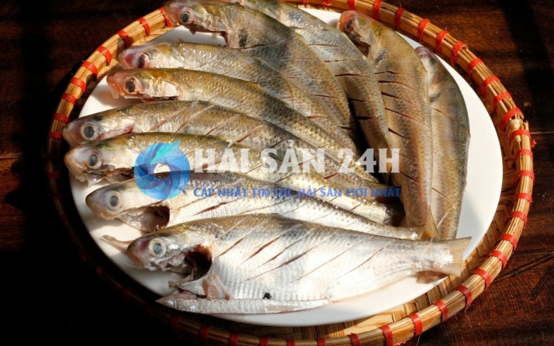 Bí quyết sơ chế cá Mòi không bị tanh