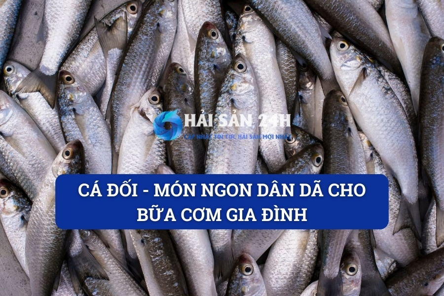 Cá đối – Món ngon dân dã cho bữa cơm gia đình