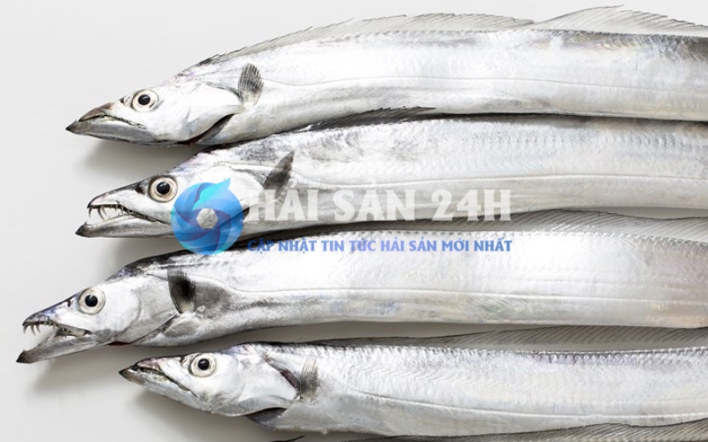 Cá hố là cá gì?