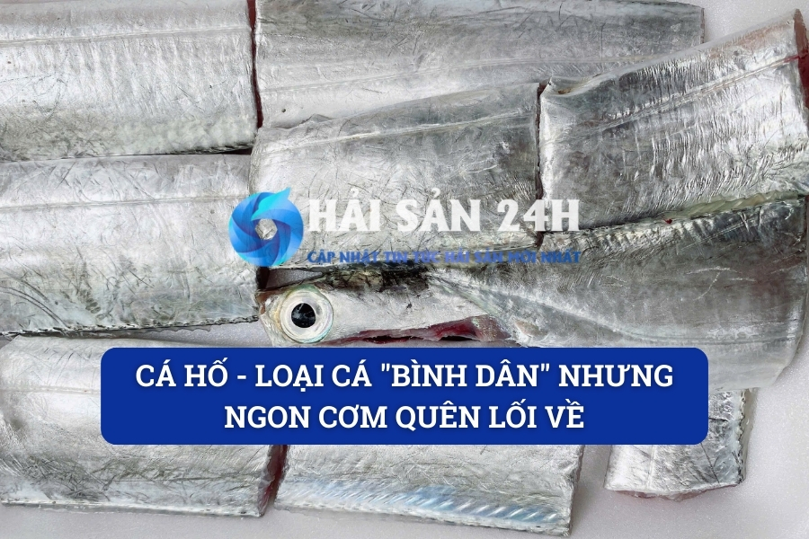 Cá Hố – Loại Cá “Bình Dân” Nhưng Ngon Cơm Quên Lối Về