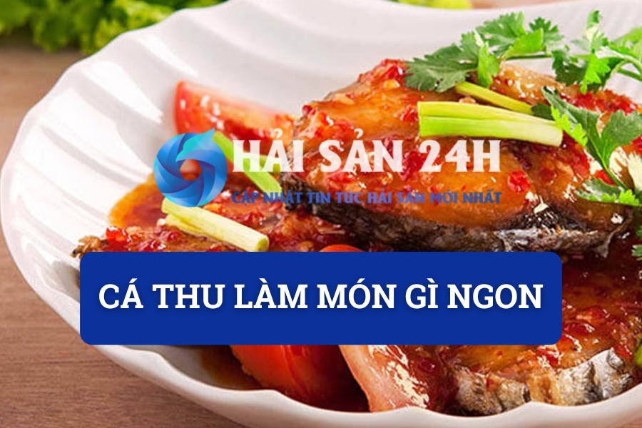 Cá thu làm món gì ngon? Tổng hợp các món ăn từ cá thu “đánh bay” nồi cơm