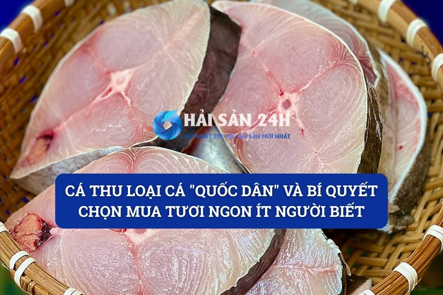 Cá thu: Loại cá “quốc dân” và bí quyết chọn mua tươi ngon ít người biết