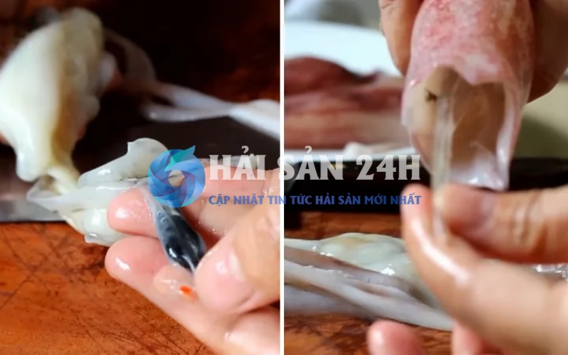 Mực ống - Bí quyết chọn mua và các món ăn từ mực ống siêu ngon 8 Cách sơ chế mực sạch, không bị tanh