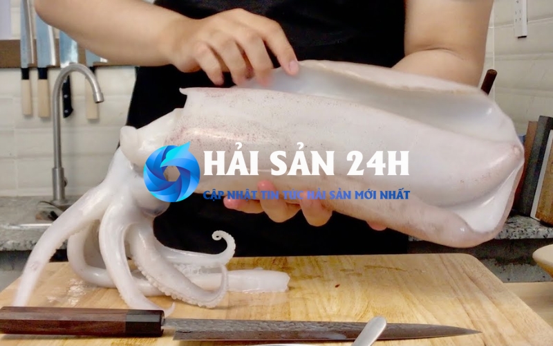 Giá mực mai hiện nay là bao nhiêu?