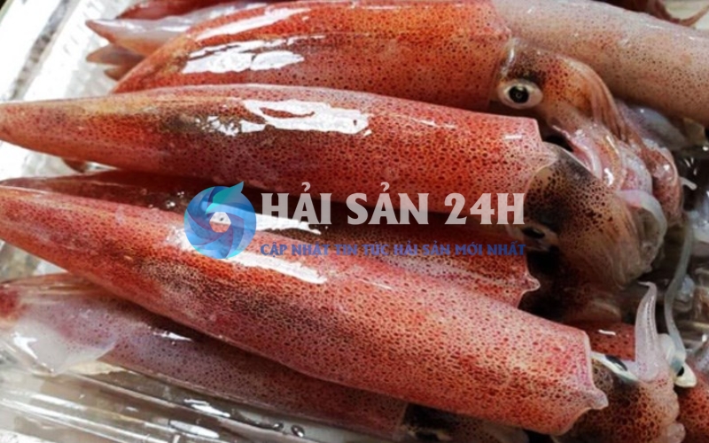 Giá mực trứng hiện nay ra sao?