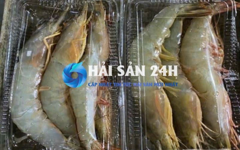 Tôm He - Bí quyết phân biệt, chọn mua và chế biến giữ trọn vị ngọt 4 Giá tôm he hiện nay là bao nhiêu?