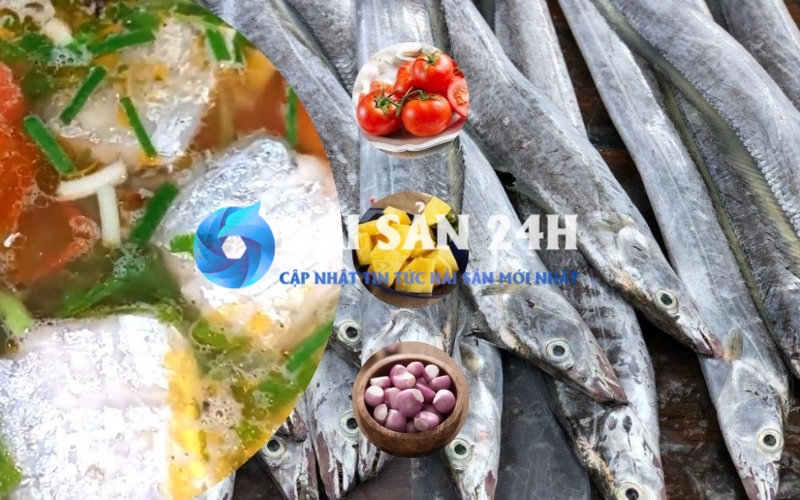 Giá trị dinh dưỡng bất ngờ từ cá hố