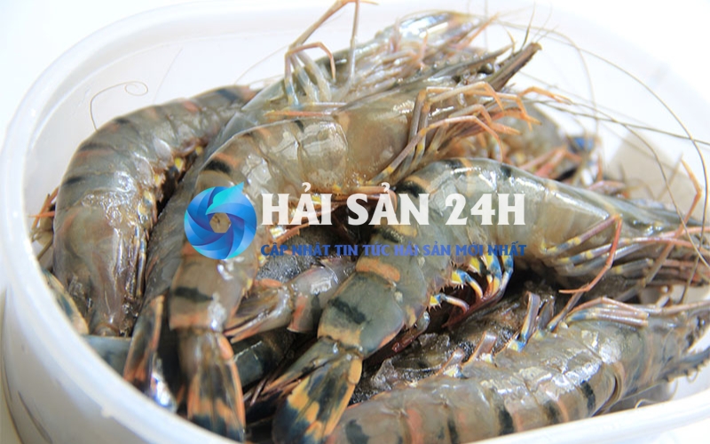 Tôm He - Bí quyết phân biệt, chọn mua và chế biến giữ trọn vị ngọt 3 Giá trị dinh dưỡng dồi dào trong tôm he