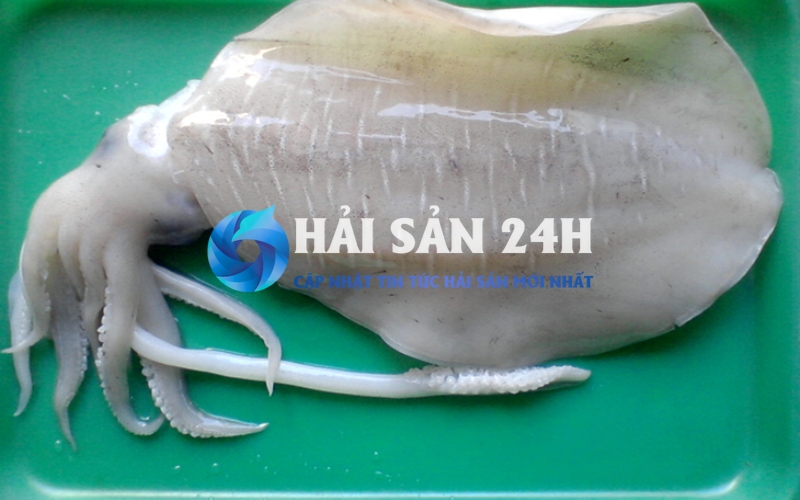 Hướng dẫn sơ chế mực mai: Đơn giản hơn bạn nghĩ