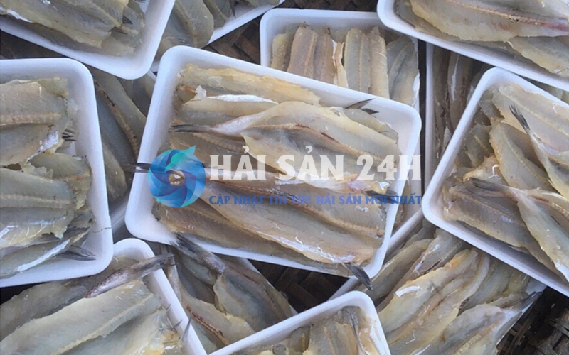 Kinh nghiệm chọn mua cá mối tươi ngon chuẩn chỉ