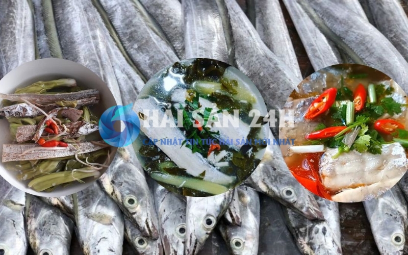 Một vài lưu ý nhỏ khi ăn cá hố