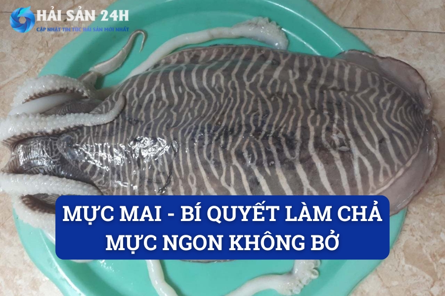 Mực Mai (Mực Nang) Dày Thịt, Ngọt Tự Nhiên – Bí Quyết Làm Chả Mực Ngon Không Bở