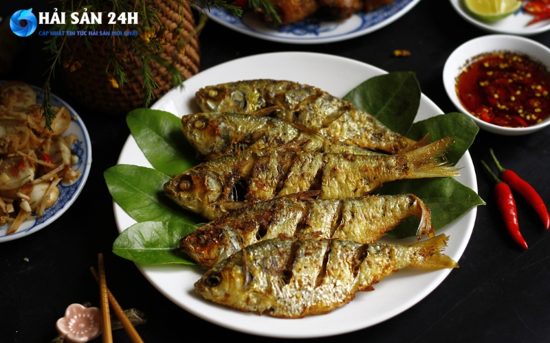 Mẹo mua cá mòi tươi ngon: Bí quyết chọn cá tươi ngon tránh bị ươn 1 Tại sao cá mòi lại được yêu thích trong bữa cơm Việt?