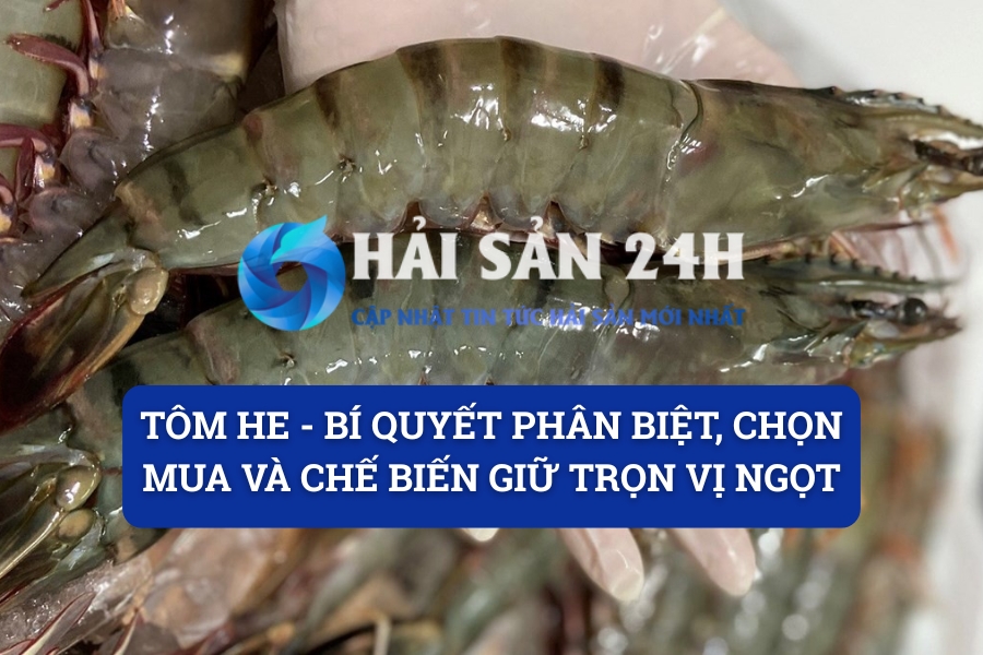 Tôm He – Bí quyết phân biệt, chọn mua và chế biến giữ trọn vị ngọt