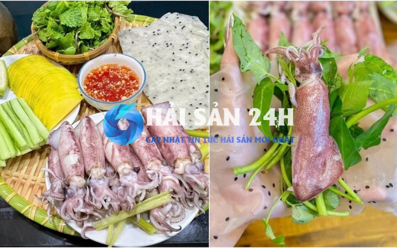 Vì sao mực trứng được ví như "viên ngọc" của thực khách?