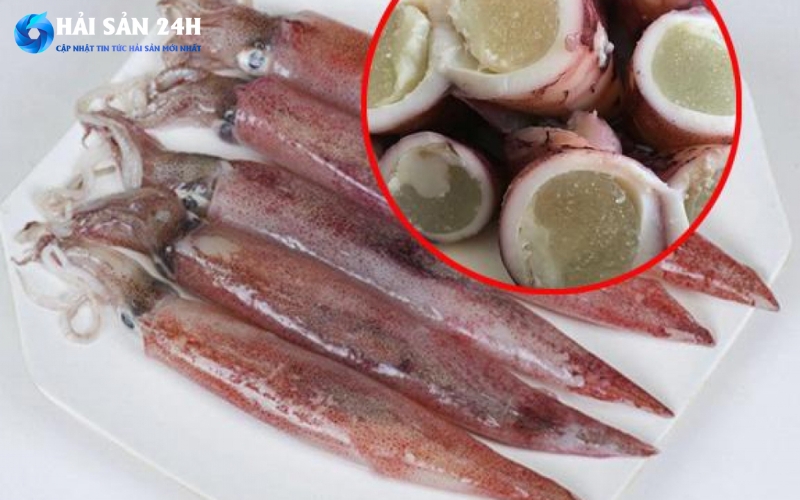 Tổng hợp 10 món ăn làm từ mực trứng ngon dễ làm 12 Bí quyết chọn mua mực trứng ngon