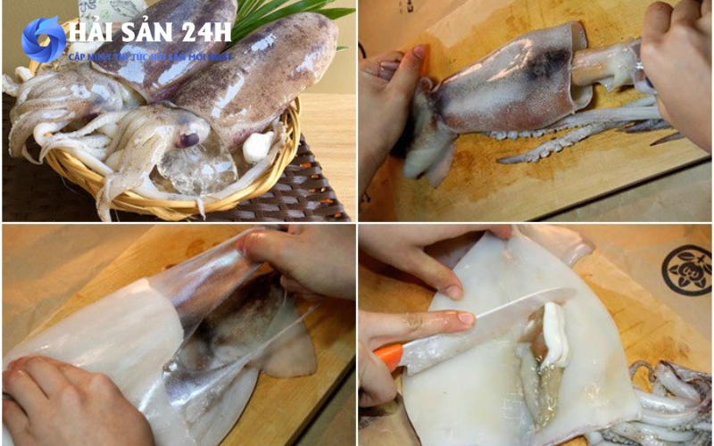 Cách chọn mực mai tươi ngon, thịt dai ngọt không bị bở 4 Bí quyết sơ chế mực mai để thịt trắng giòn, không tanh