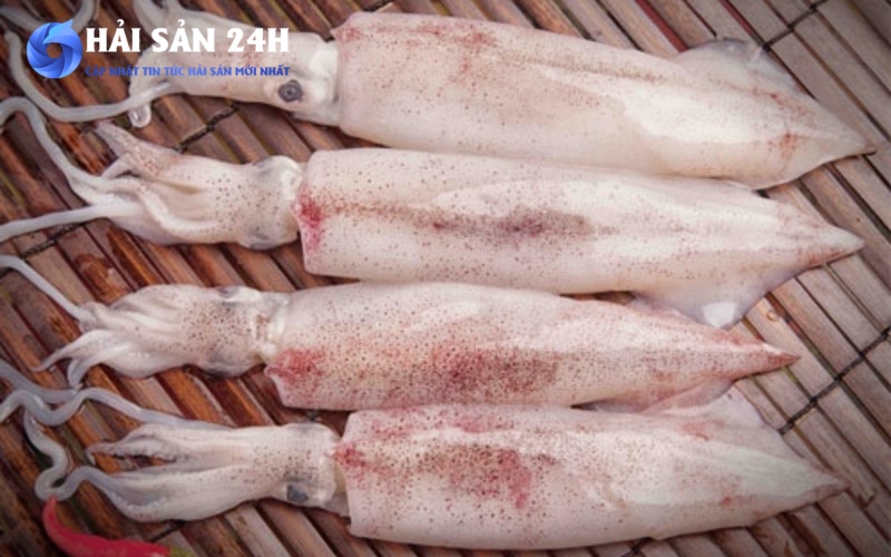 Bí quyết sơ chế mực ống sạch, không tanh