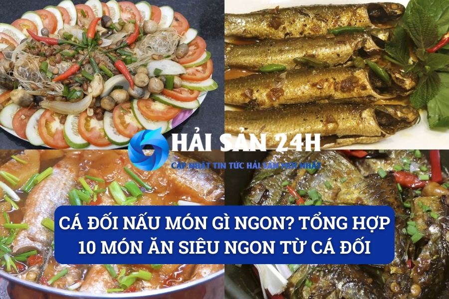 Cá đối nấu món gì ngon? Tổng hợp 10 món ăn siêu ngon từ cá đối