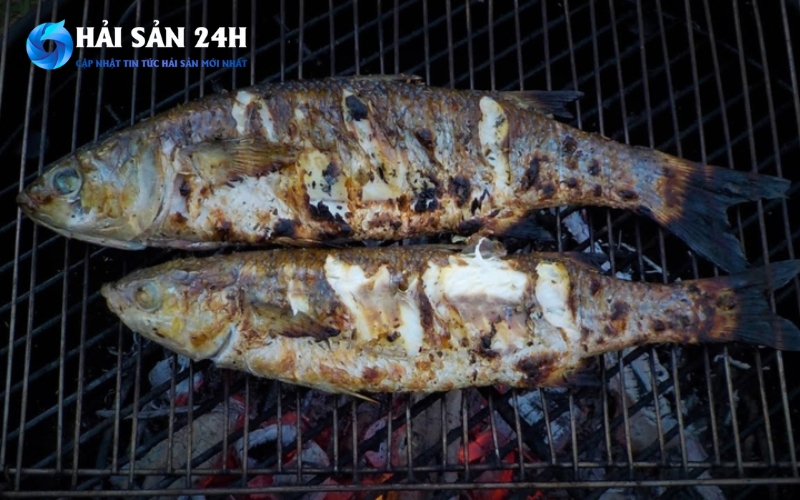 Cá đối nấu món gì ngon? Tổng hợp 10 món ăn siêu ngon từ cá đối 5 Cá đối nướng mọi