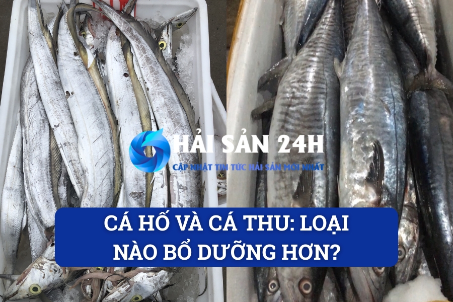 Cá hố và cá thu: Loại nào bổ dưỡng hơn?