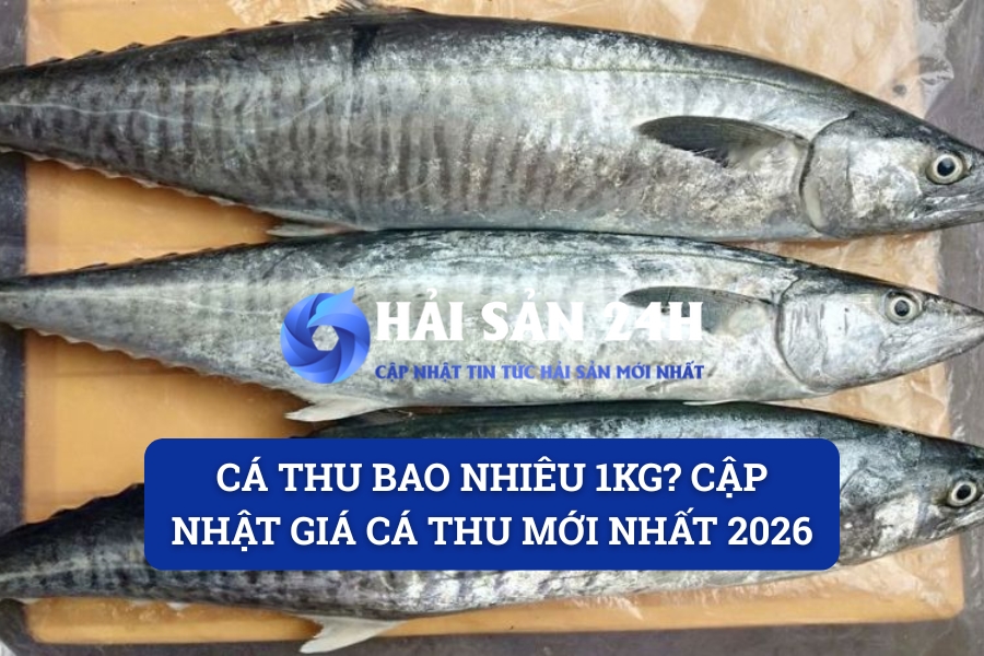 Cá thu bao nhiêu 1kg? Cập nhật giá cá Thu mới nhất 2026