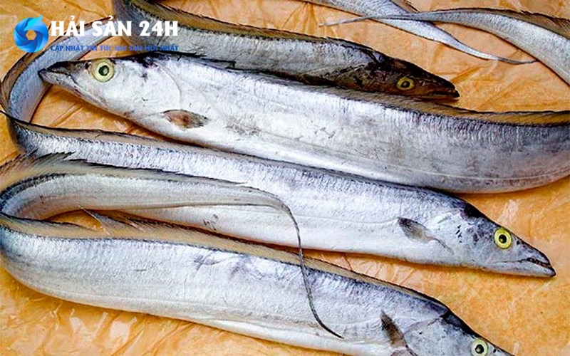 Cách chọn cá hố tươi ngon "đáng đồng tiền bát gạo"