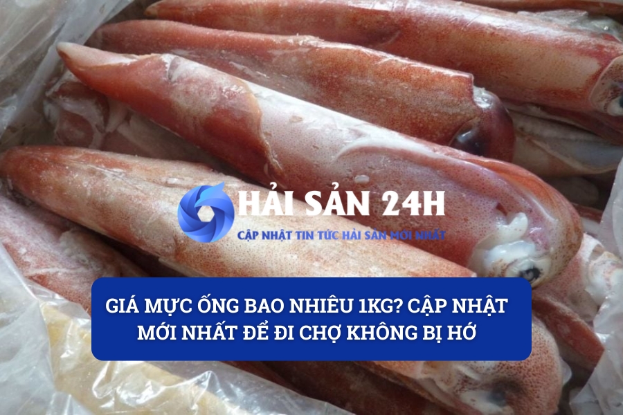 Giá mực ống bao nhiêu 1kg? Cập nhật mới nhất để đi chợ không bị hớ
