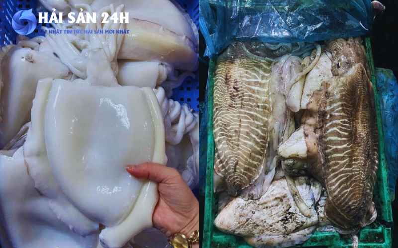 Khâu chọn mực - Quyết định 90% độ ngon của chả