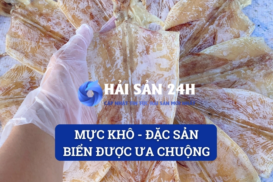 Mực khô – Đặc sản biển được ưa chuộng