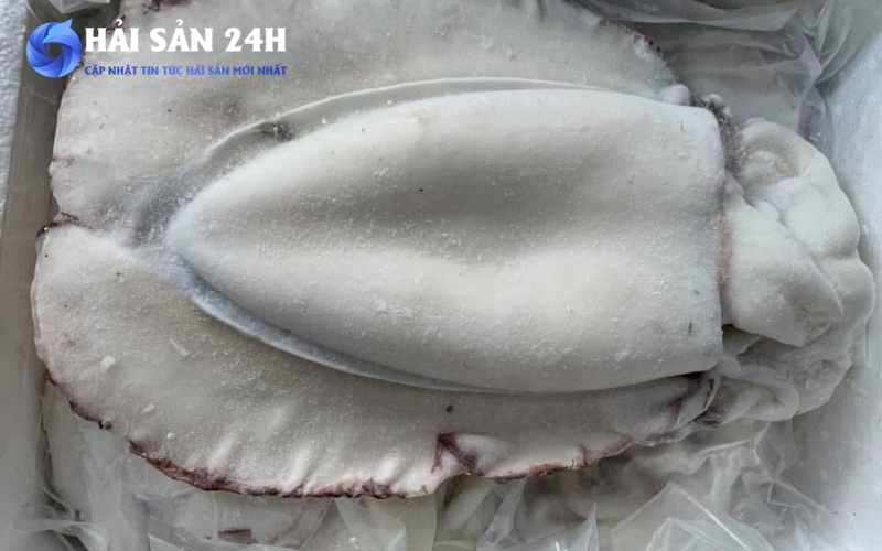 Cách chọn mực mai tươi ngon, thịt dai ngọt không bị bở 2 Mực mai là mực gì và tại sao lại dễ mua phải hàng kém chất lượng?