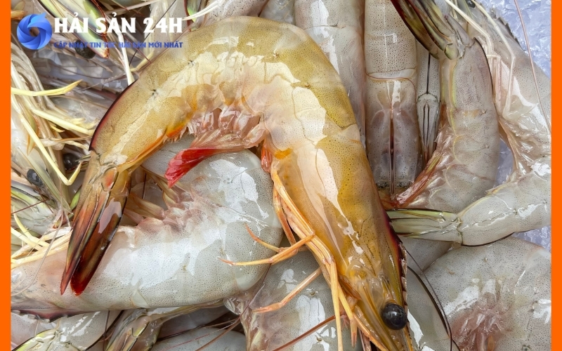 Những yếu tố nào quyết định giá tôm he?