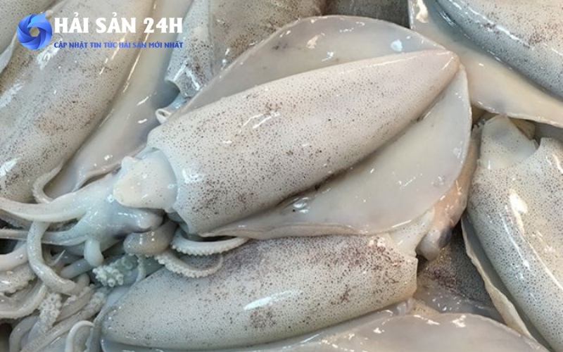 Tại sao giá mực ống lại "nhảy múa" mỗi nơi một khác?