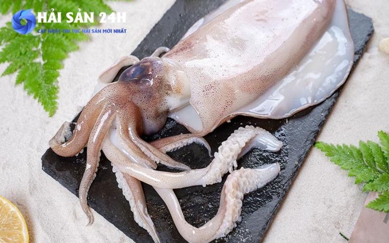 Tại sao nhìn mực quan trọng hơn nghe người bán nói?