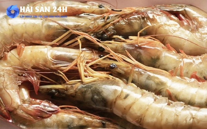 Tôm he bao nhiêu 1kg? Bảng giá cập nhật 2026