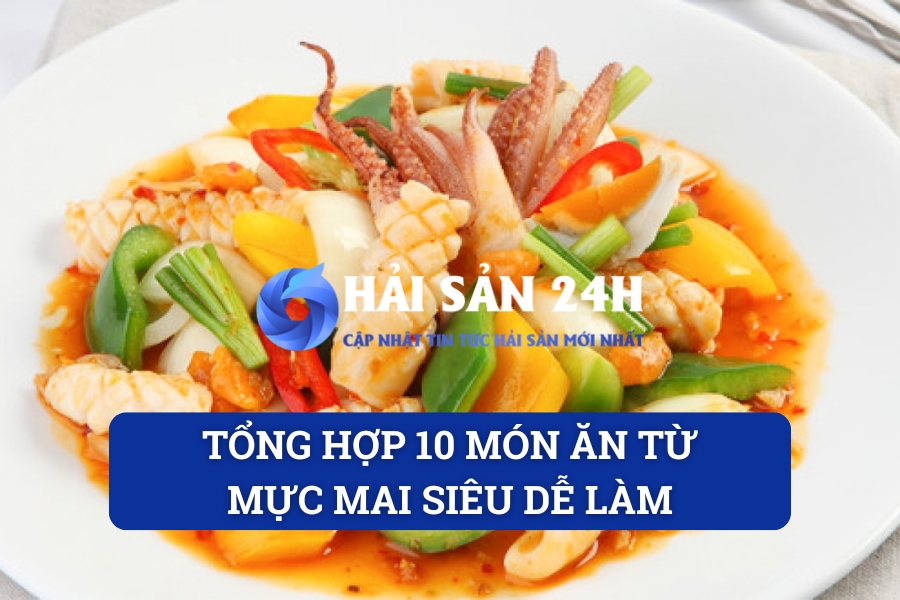 Tổng hợp 10 món ăn từ mực mai siêu dễ làm