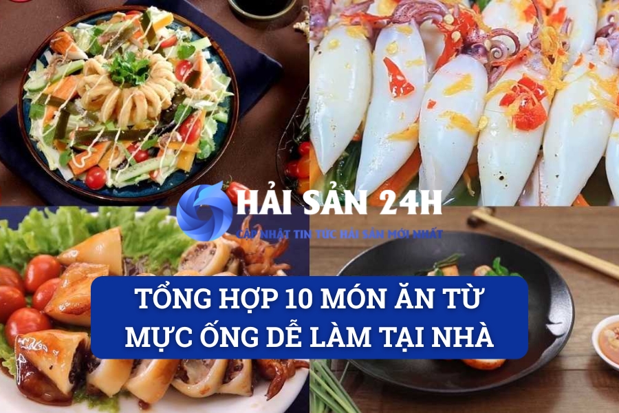 Tổng hợp 10 món ăn từ mực ống dễ làm tại nhà