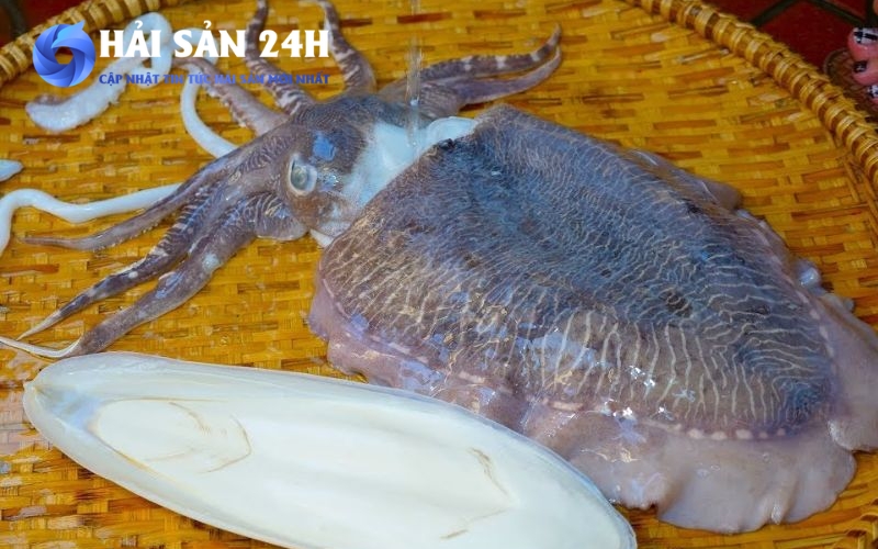 Tìm mua Mực Mai giá rẻ chất lượng tại TP Hồ Chí Minh 5 Địa chỉ bán mực mai uy tín tại TP Hồ Chí Minh