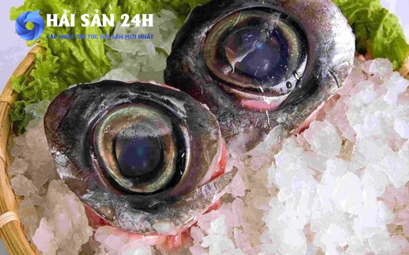 Cá Ngừ làm món gì ngon? Tổng hợp 5 cách chế biến cá Ngừ ngon dễ làm tại nhà 8 Lưu ý nhỏ khi chế biến để cá không bị tanh