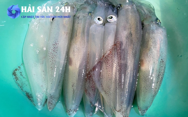 Bí quyết sờ bụng và kiểm tra đuôi