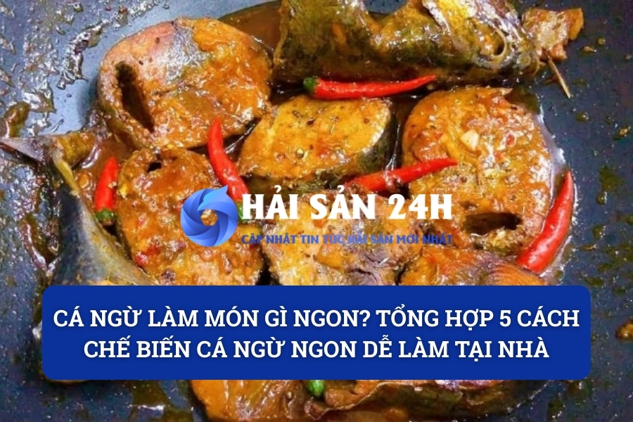 Cá Ngừ làm món gì ngon? Tổng hợp 5 cách chế biến cá Ngừ ngon dễ làm tại nhà