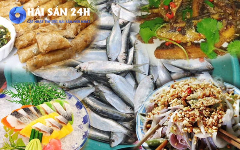 Những loại cá tốt cho tim mạch giá rẻ mà dân biển hay ăn 3 Cá trích