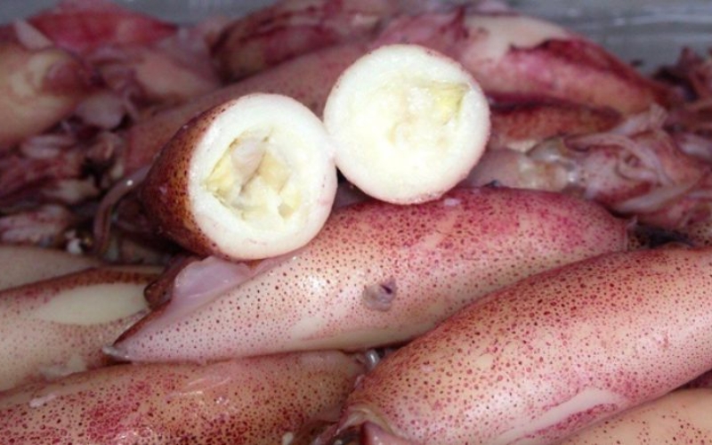 Giá Mực Trứng Bao Nhiêu 1kg? Cập Nhật Mới Nhất 3 Cách chọn mực trứng ngon "đầy bụng"