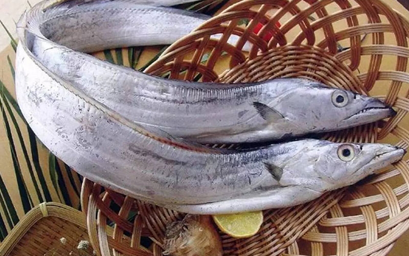 Cách nhận biết cá Hố tươi của dân chợ