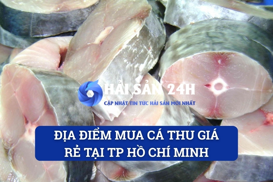 Địa điểm mua cá Thu giá rẻ tại TP Hồ Chí Minh