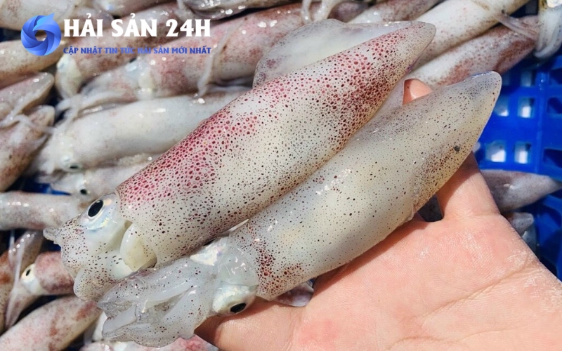 Màu sắc da và độ sáng bóng